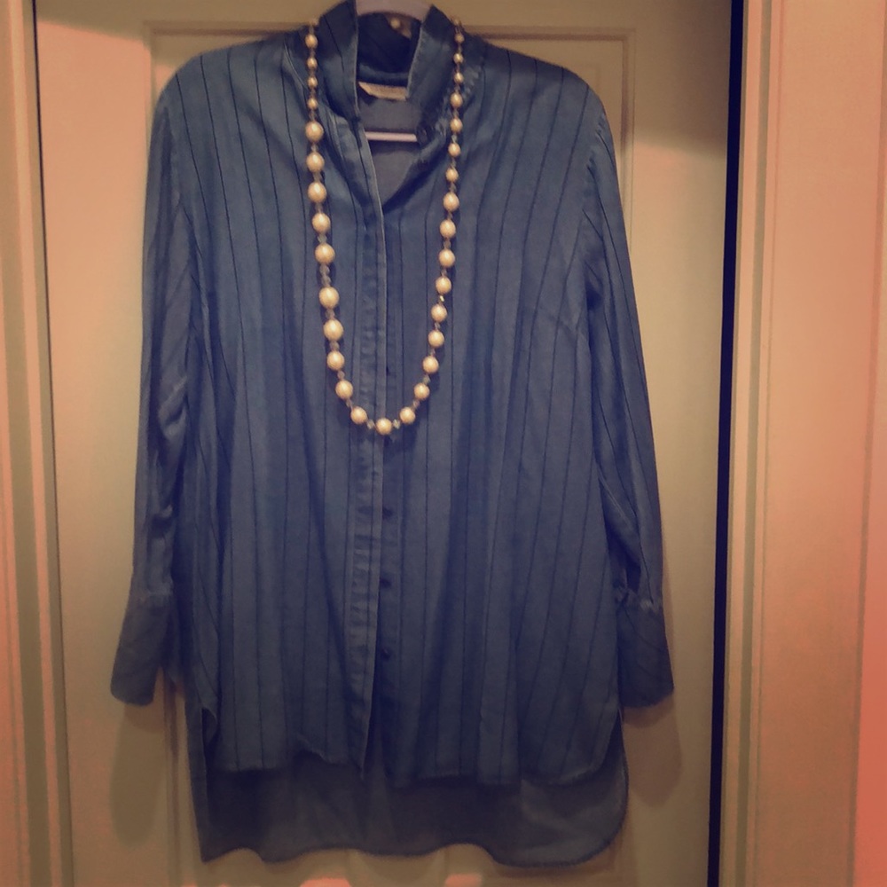 Soft Surroundings Blue Blouse (Large)